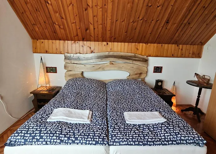 Drinska Dedovina Apartmán *